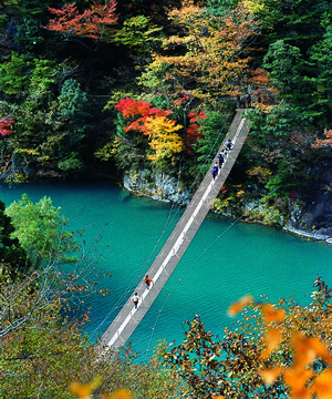 �y�G�[�XJTB�E�������s�z�É��c�A�[�E�É��̗��فE�z�e���\��@